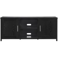 Eden TV Stand in Black Grain by Hudson & Canal