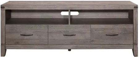 Lorenzi TV Console in Gray by Homelegance