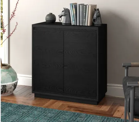 Presque Accent Cabinet in Black Grain by Hudson & Canal