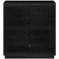 Presque Accent Cabinet in Black Grain by Hudson & Canal