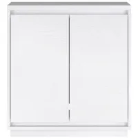 Presque Accent Cabinet in White by Hudson & Canal