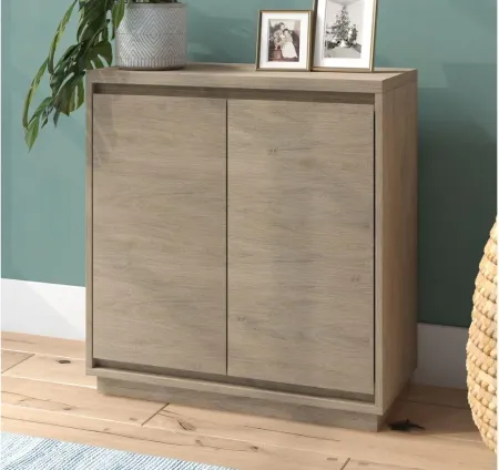 Presque Accent Cabinet in Antiqued Gray Oak by Hudson & Canal
