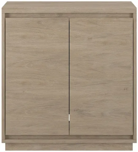 Presque Accent Cabinet in Antiqued Gray Oak by Hudson & Canal