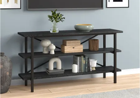 Holloway TV Stand in Black Grain by Hudson & Canal