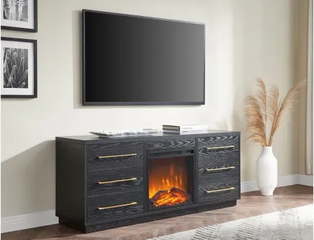 Greer TV Stand in Black Grain by Hudson & Canal