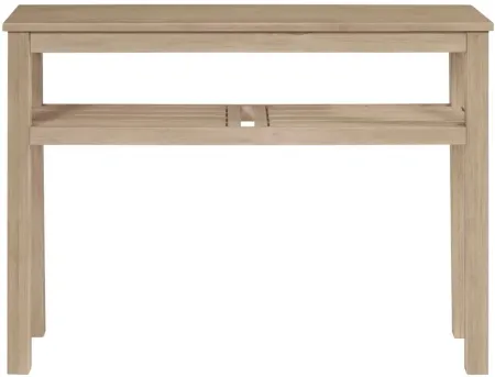 Tiburon Console Table in Drifted Sand by New Pacific Direct