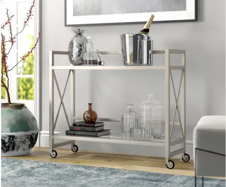 Holly Bar Cart in Satin Nickel by Hudson & Canal