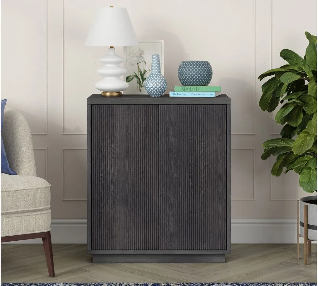 Alston Accent Cabinet in Charcoal Gray by Hudson & Canal