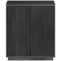 Alston Accent Cabinet in Charcoal Gray by Hudson & Canal