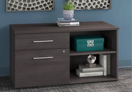 Office 500 Low Storage Cabinet in Storm Gray by Bush Industries