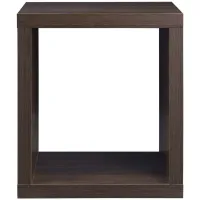 Harel Accent Cabinet in Walnut by Acme Furniture Industry