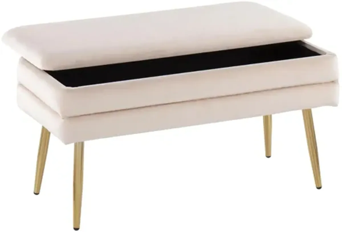 Neapolitan Storage Bench