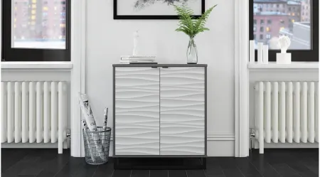 Monterey Two-Door Accent Cabinet by Ameriwood Home in Graphite by DOREL HOME FURNISHINGS