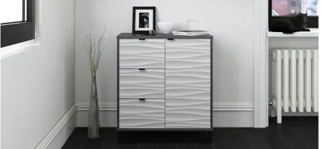 Monterey Accent Cabinet by Ameriwood Home in Graphite by DOREL HOME FURNISHINGS