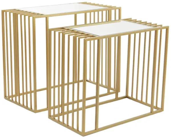 Ivy Collection Cage Accent Table 2-pc.