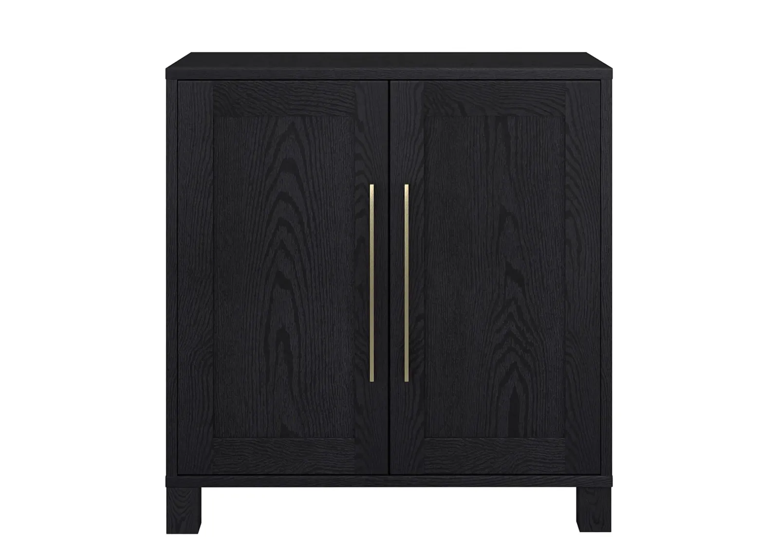 Chabot Accent Cabinet in Black Grain by Hudson & Canal