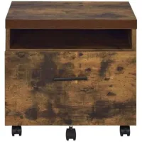 Bob File Cabinet in Weathered Oak by Acme Furniture Industry