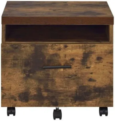 Bob File Cabinet in Weathered Oak by Acme Furniture Industry