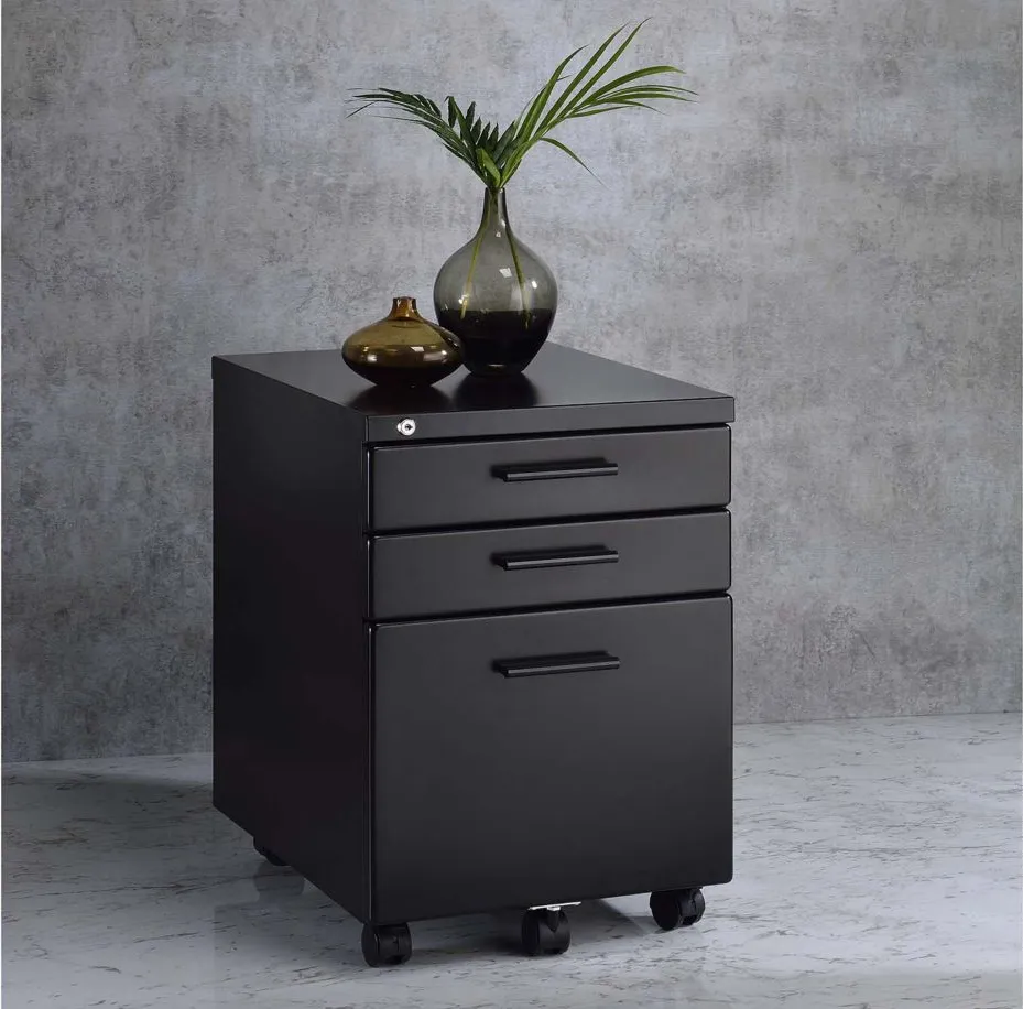 Peden File Cabinet in Black by Acme Furniture Industry