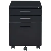 Peden File Cabinet in Black by Acme Furniture Industry