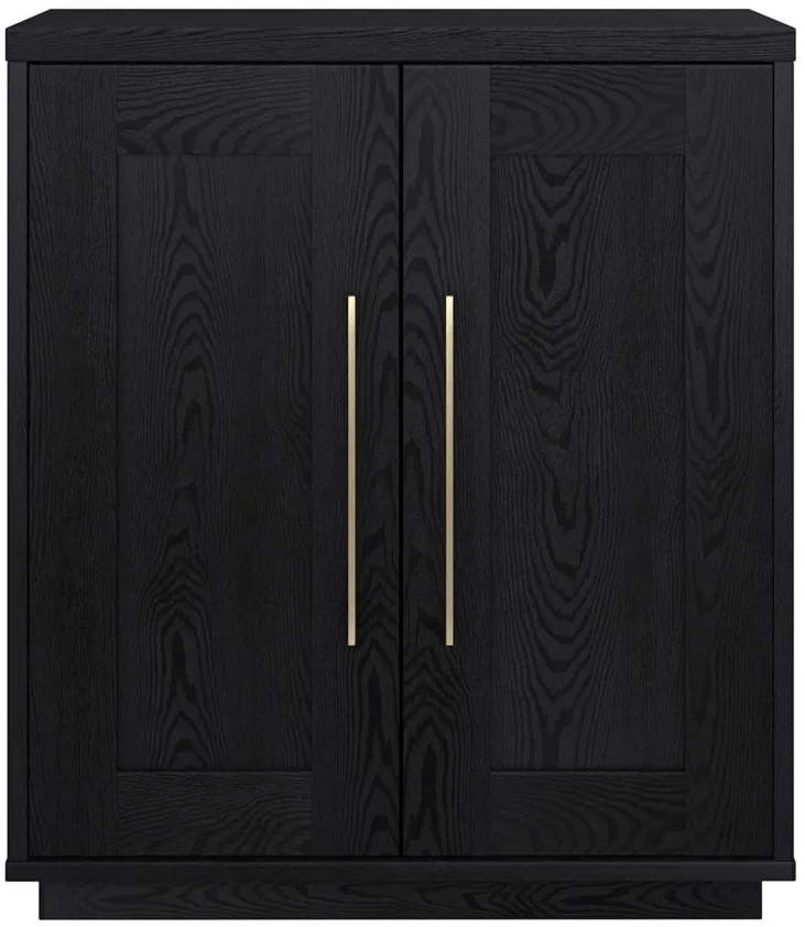 Tillman Accent Cabinet in Black Grain by Hudson & Canal