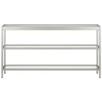 Alexis 55" Rectangular Console Table in Satin Nickel by Hudson & Canal