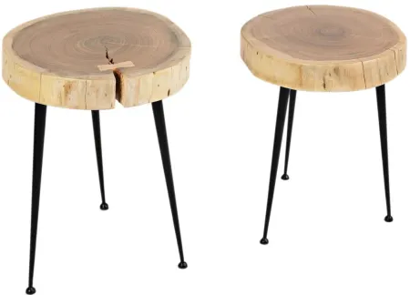 Global Furniture Archive Structure Accent Tables - Set of 2 in Natural by Jofran
