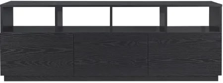 Jackman TV Stand in Black Grain by Hudson & Canal