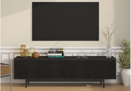 Whitman TV Stand in Black Grain by Hudson & Canal