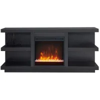 Maya TV Stand in Black Grain by Hudson & Canal