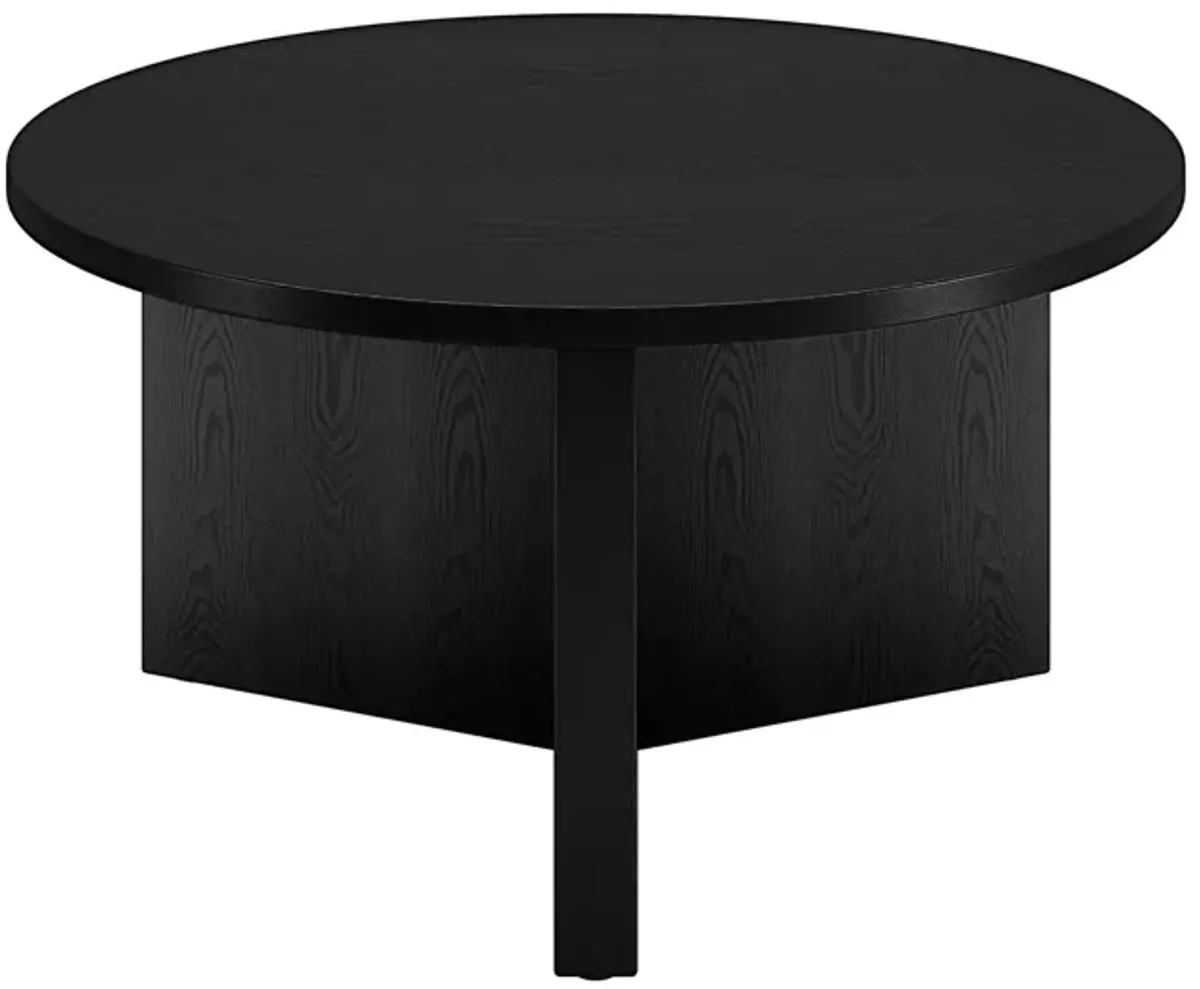 Anders Coffee Table in Black Grain by Hudson & Canal