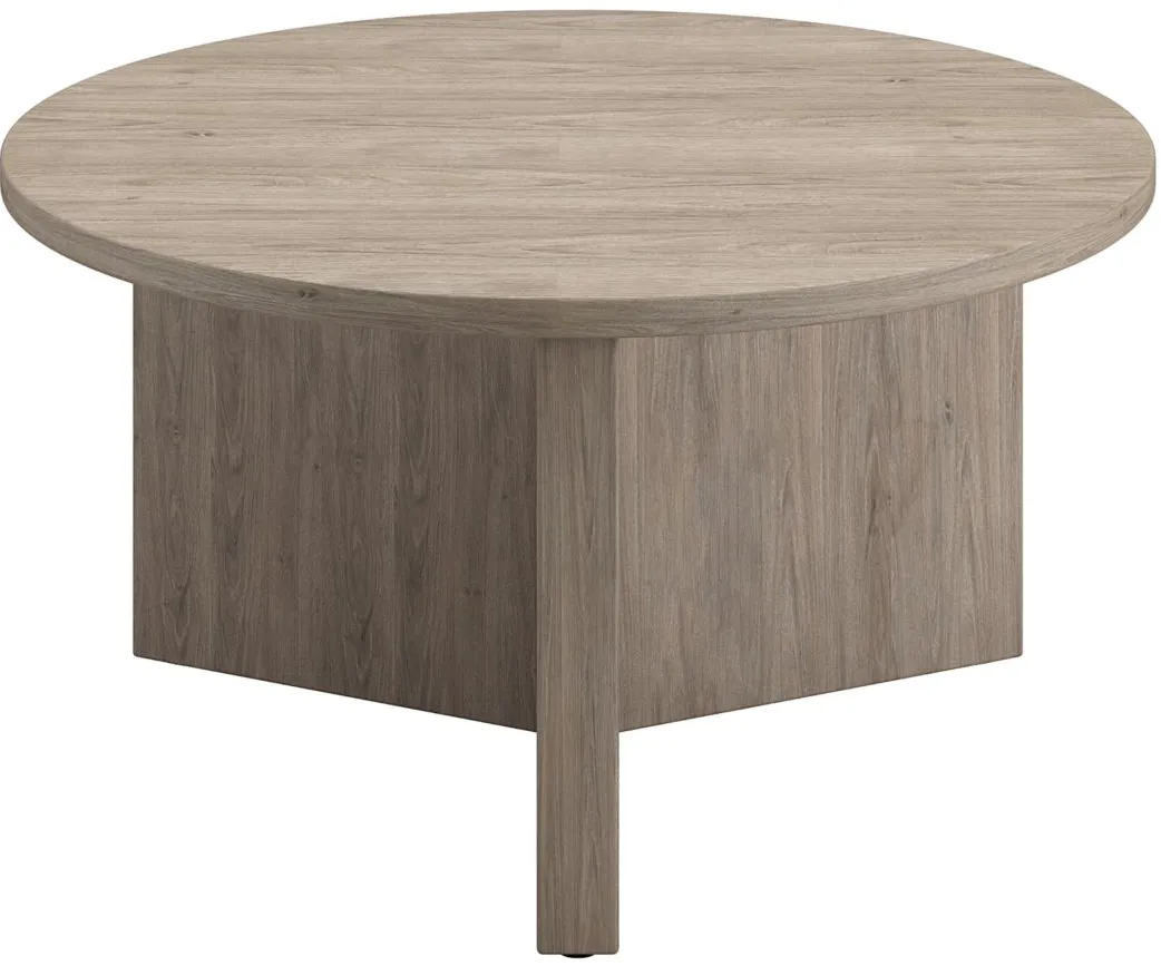 Anders Coffee Table in Antiqued Gray Oak by Hudson & Canal