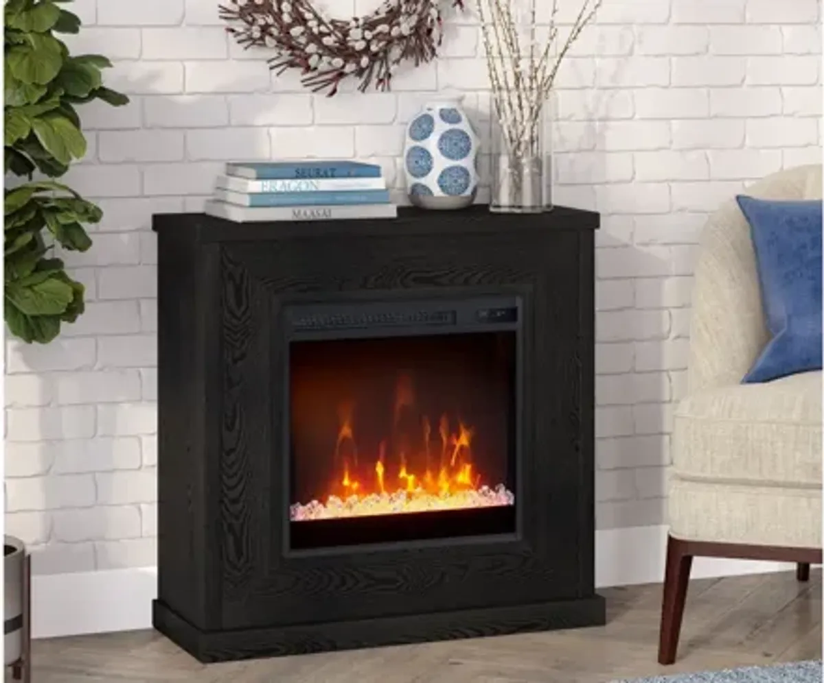 Santos Mantel Fireplace in Black Grain by Hudson & Canal