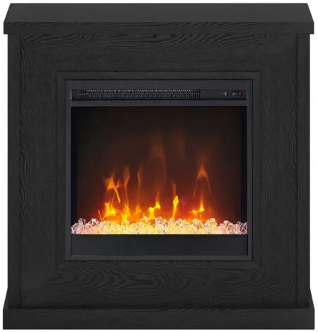 Santos Mantel Fireplace in Black Grain by Hudson & Canal