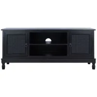 Haines Media Stand in Black by Safavieh
