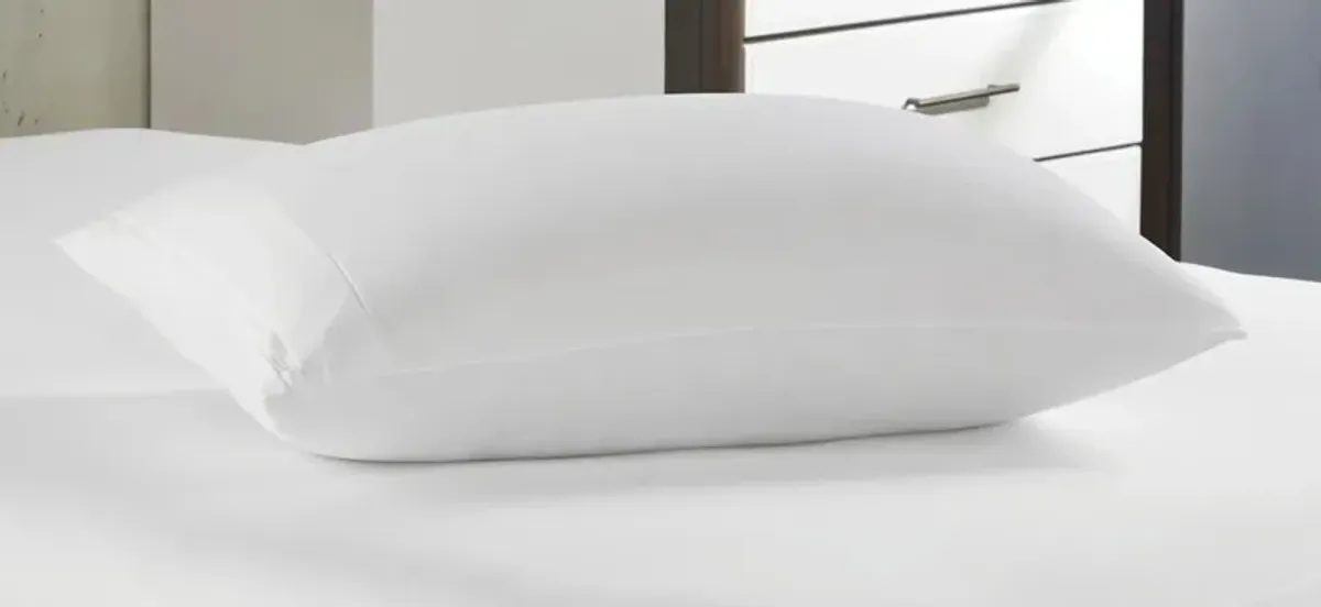 PureCare OmniGuard Pillow Protector - Standard