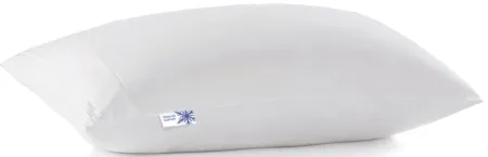 PureCare ReversaTemp Pillow Protector in White by PureCare