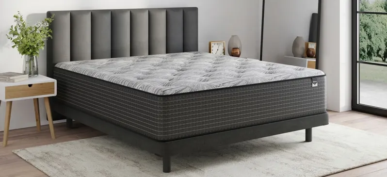 Bellanest Dahlia Plush Mattress by Bellanest
