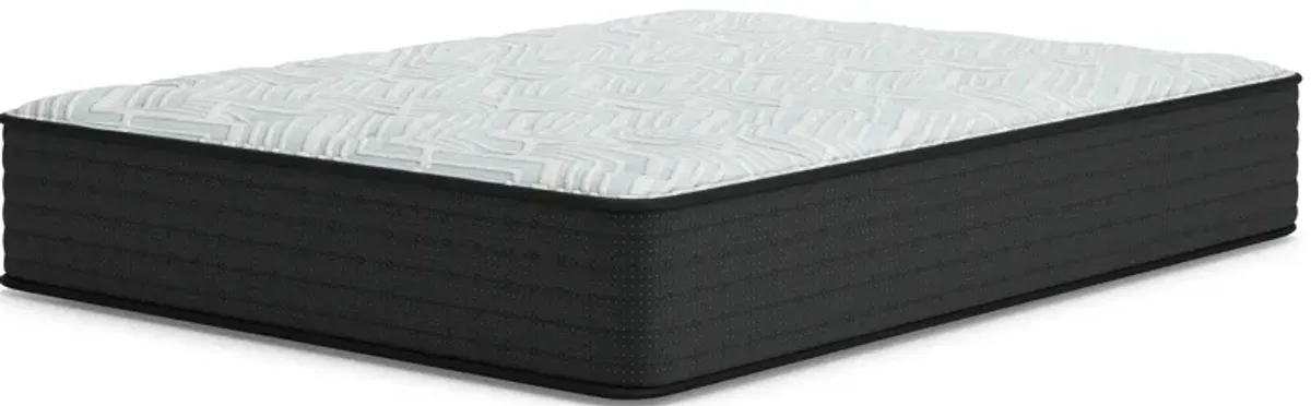 Palisades Plush Mattress