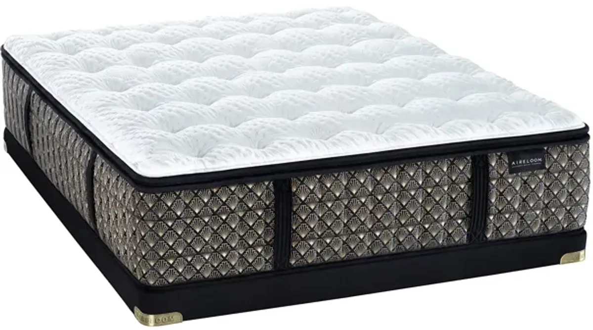 Aireloom Andromeda Firm Luxetop Mattress