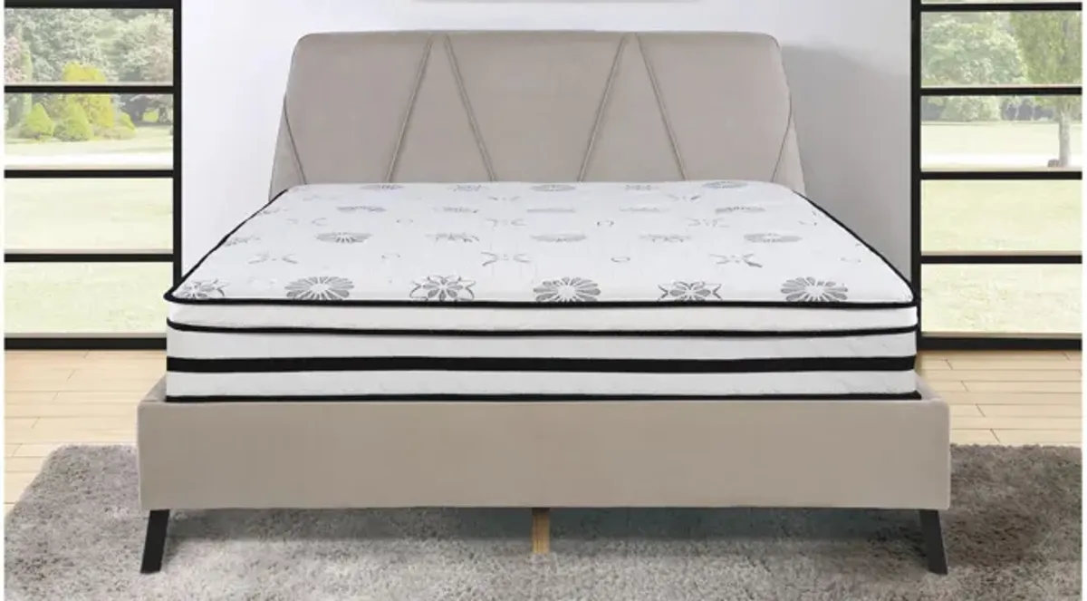 Nocturne 12" Hybrid Mattress