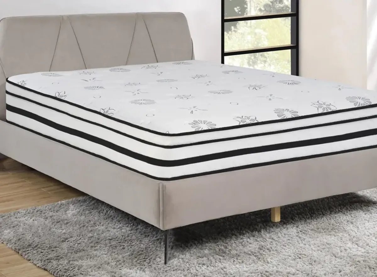 Nocturne 12" Hybrid Mattress