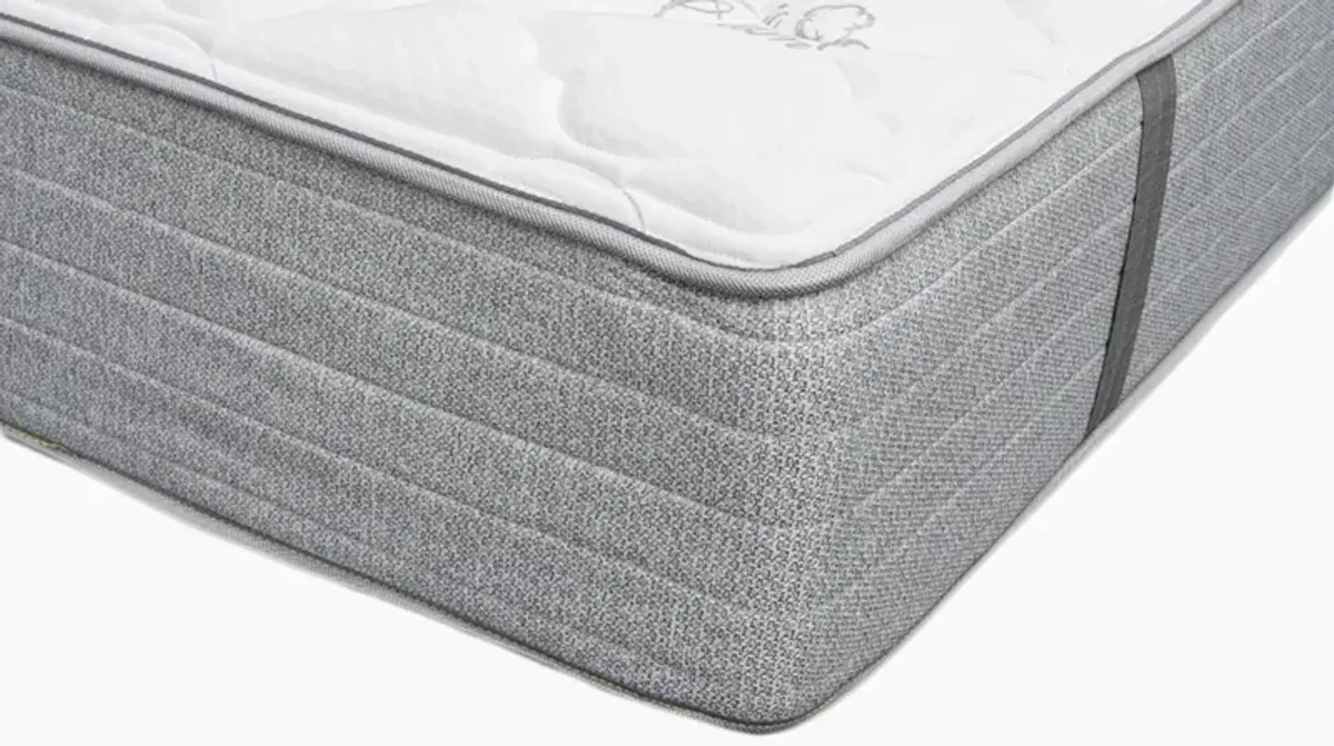 Magic Sleeper Plush Hospitality Quantum Mattress