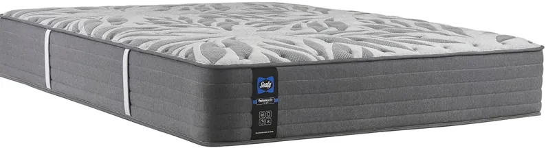 Sealy posturepedic plus baldwin park cushion firm mattress discount