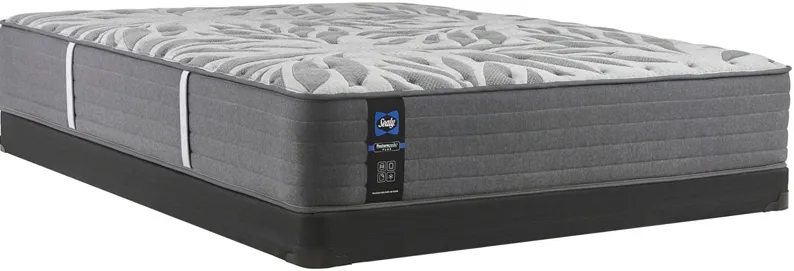 Sealy posturepedic plus baldwin store park plush mattress