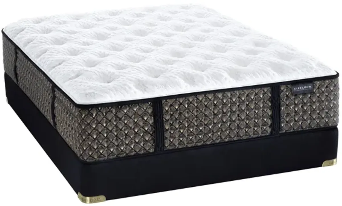 Aireloom Capella Plush Mattress