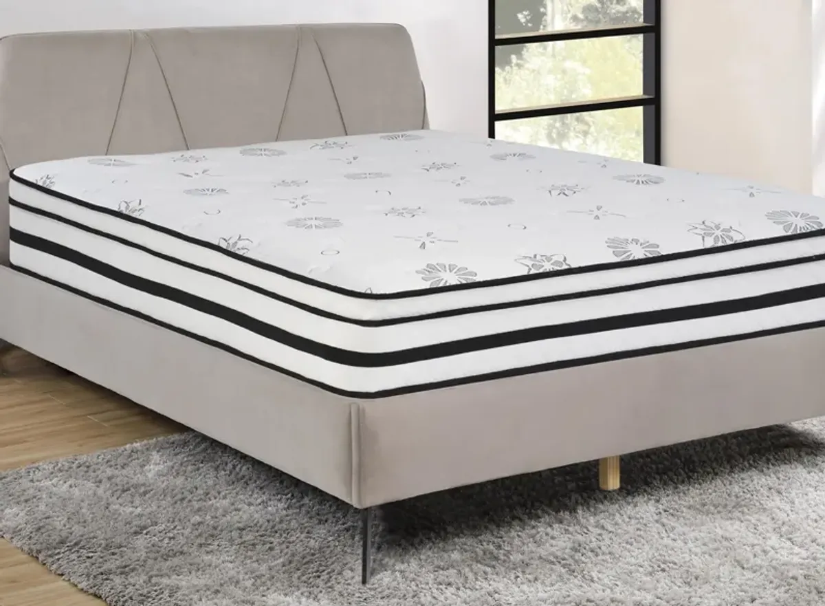 Nocturne 12" Hybrid Mattress in White by Bellanest