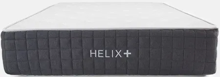 Helix Plus Mattress in Gray by Helix Sleep