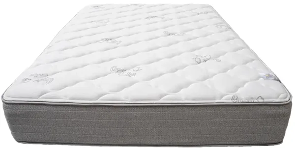 Magic Sleeper Plush Hospitality Quantum Mattress
