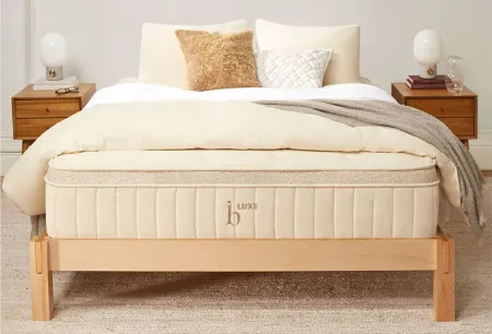 Birch Luxe Natural Mattress in Natural by Helix Sleep